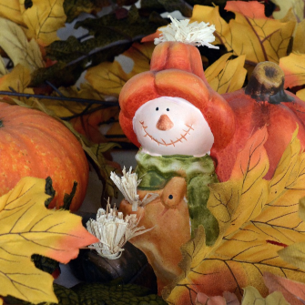 PETERSTORE Webáruház