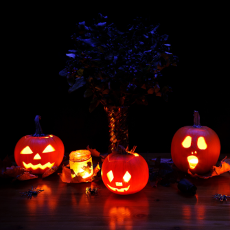 PETERSTORE Webáruház