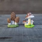 Barna Gombák 2 db-os