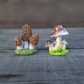 Barna Gombák 2 db-os