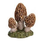 Barna Gombák 2 db-os