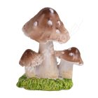 Barna Gombák 2 db-os