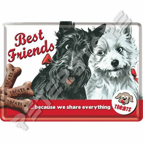 Retró Fém Képeslap - Best Friends, Legjobb barátok
