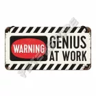 Retró Fém Tábla - Genius at work - Zseni munkában Dombornyomott