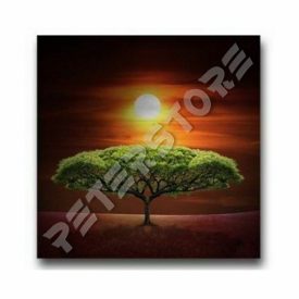 Falikép feszített keret nélküli - Fa napos