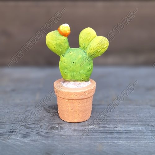 Kerámia Kaktusz