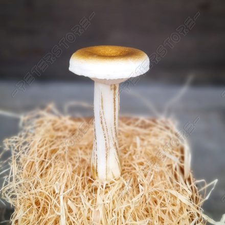 Real touch Élethű Gomba