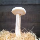 Real touch Élethű Gomba