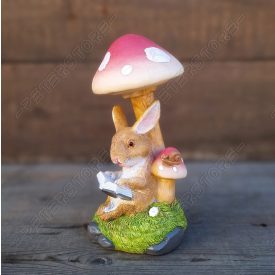 Nyúl, Nyuszi Figura