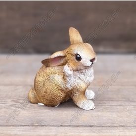 Nyúl, Nyuszi Figura