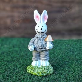 Nyúl, Nyuszi Figura