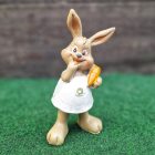 Nyúl, Nyuszi Figura