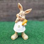 Nyúl, Nyuszi Figura