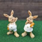 Nyúl, Nyuszi Figura