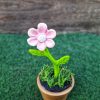 Minifalu - Virág 