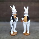 Nyúl, Nyuszi Figura