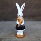 Nyúl, Nyuszi Figura