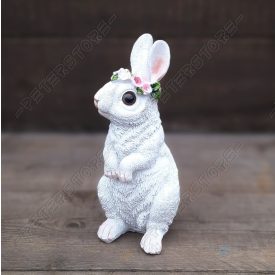 Nyúl, Nyuszi Figura