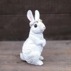 Nyúl, Nyuszi Figura