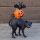 Halloween Fekete Macska Denevérrel Figura