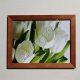 Falikép 18x24 cm - Tulipán