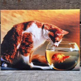   Falikép feszített keret nélküli 19x25 cm - Cica, Akvárium