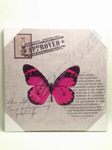 Falikép feszített keret nélküli 30x30 cm - Pillangó, Lepke Pink