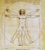 Leonardo Da Vinci - Vitruvius-tanulmány Szobor Fehér