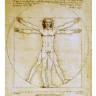 Leonardo Da Vinci - Vitruvius-tanulmány Szobor Fehér