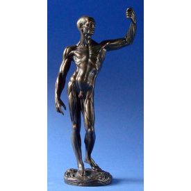 Jean-Antoine Houdon - Anatómiai tanulmány Szobor