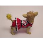 Aye Chihuahua - Pom-pom Lány